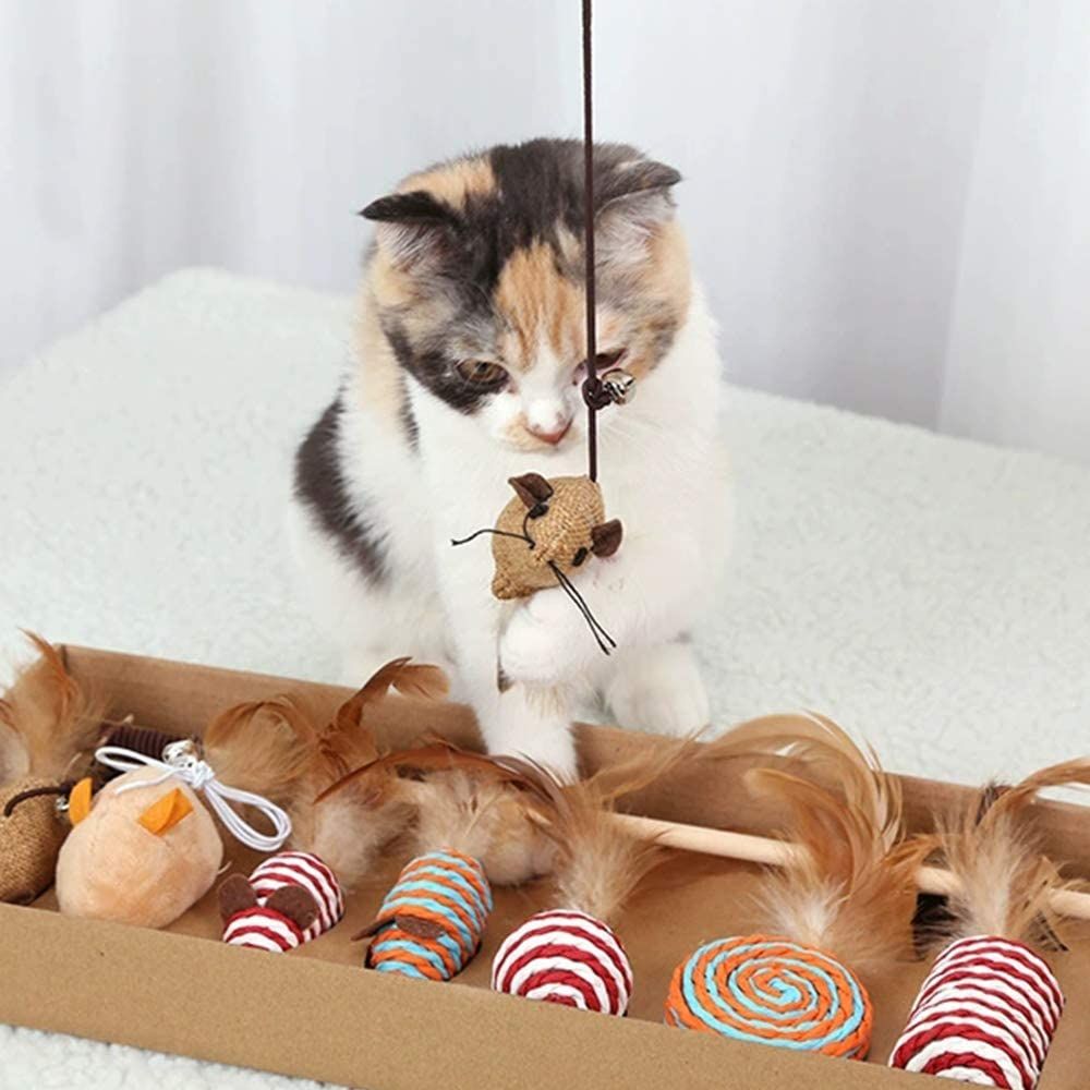 Premium 8 Interactive Cat/Kitten Toy Set Perfect For All Ages