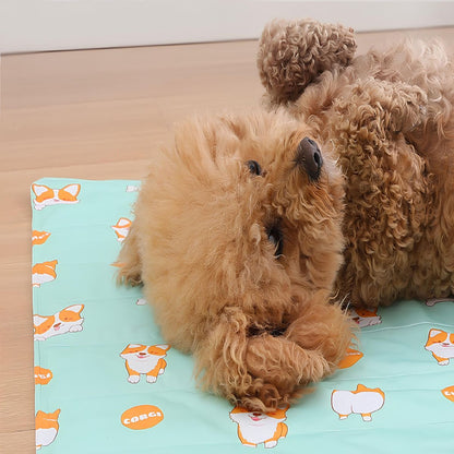 Waterproof Indoor and Outdoor Cat /Dog Cooling Gel Mat Pet Bed