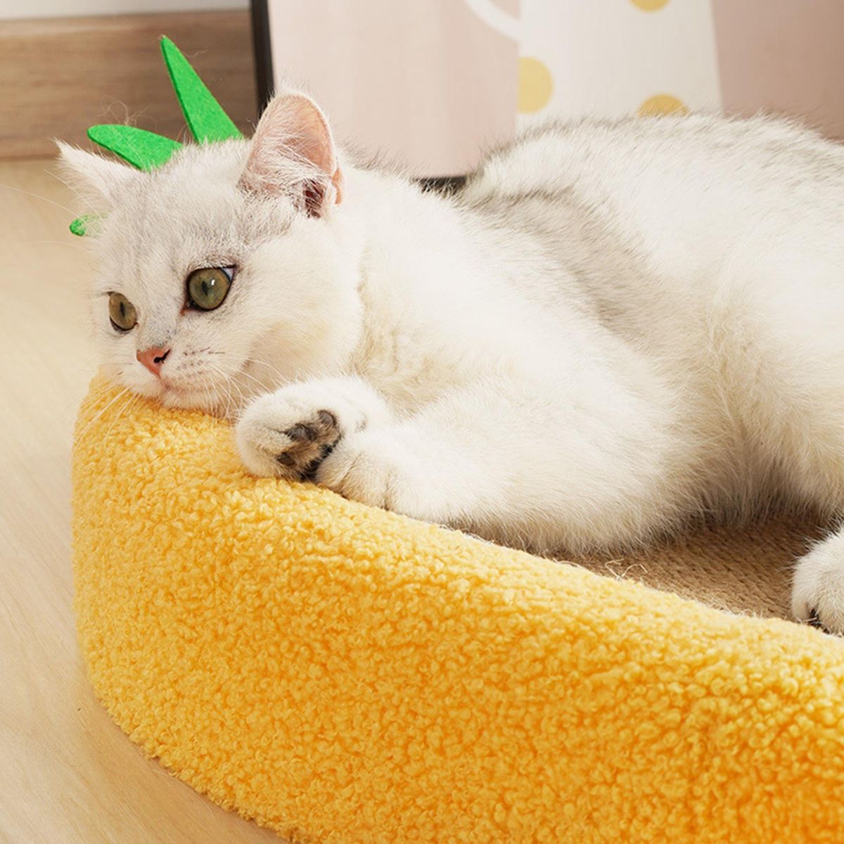 Pineapple Shaped Sisal Cat Scratch Pad and Fleece Pet Bed