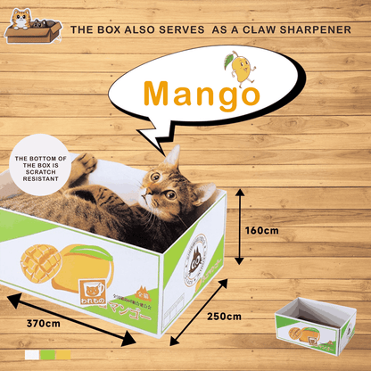 Japanese Style Cat Scratch Box Reversible Water Resistant