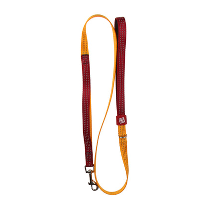 Classic Line Stylish Dog Leash