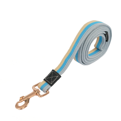 Material wrist strap detachable dog leash in blue – Urban Pets South Africa