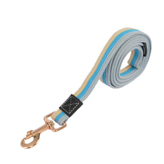 Material wrist strap detachable dog leash in blue – Urban Pets South Africa
